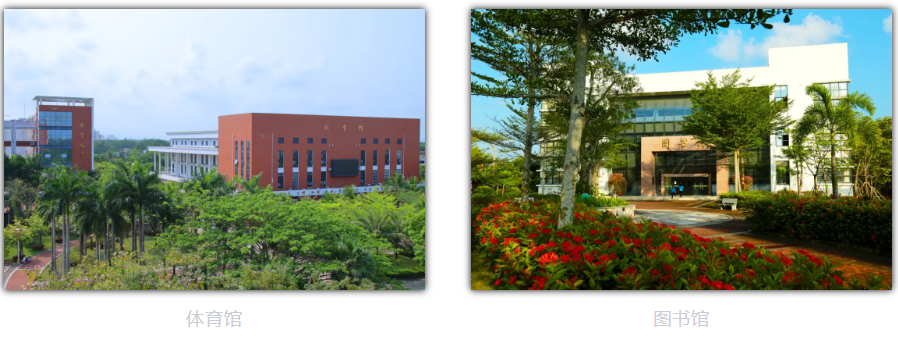 image6.png